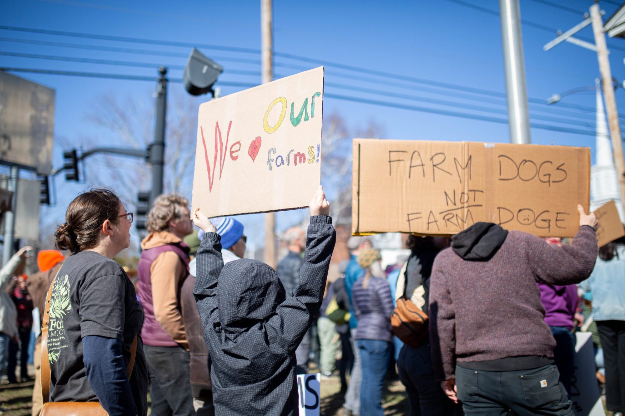 Protesters gather outside of Hadley Town Hall on Sunday, March 23, 2025, to denounce cuts to USDA’s funding.”