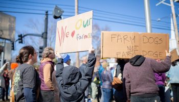Protesters gather outside of Hadley Town Hall on Sunday, March 23, 2025, to denounce cuts to USDA’s funding.”