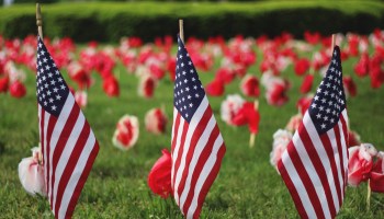 Memorial Day veterans