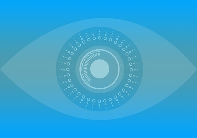 surveillance oversight monitoring bossware