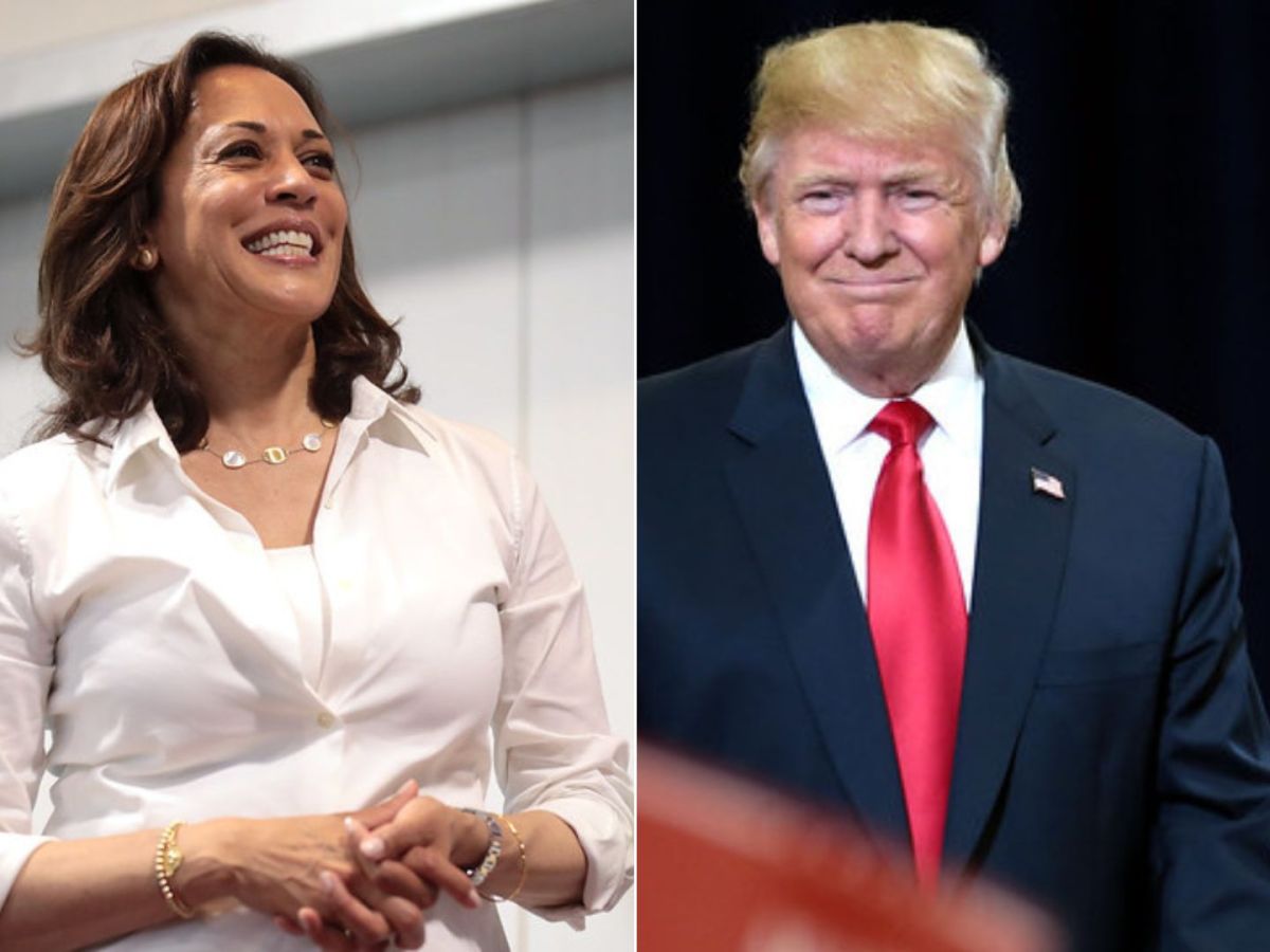 To understand 2024 results, hindsight is not 2020